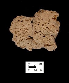 Mockley net-impressed body sherd from Bathhouse, 18AN37/8.